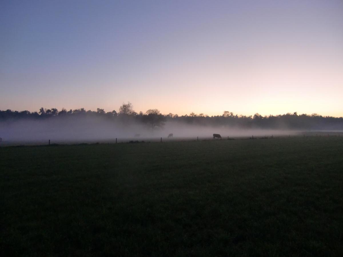 'T Buitenverblijf Erve Punte Losser Extérieur photo