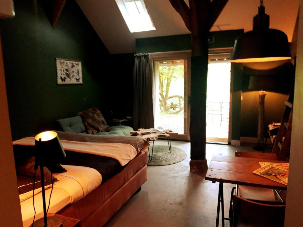 'T Buitenverblijf Erve Punte Losser Extérieur photo