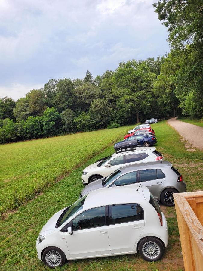 'T Buitenverblijf Erve Punte Losser Extérieur photo