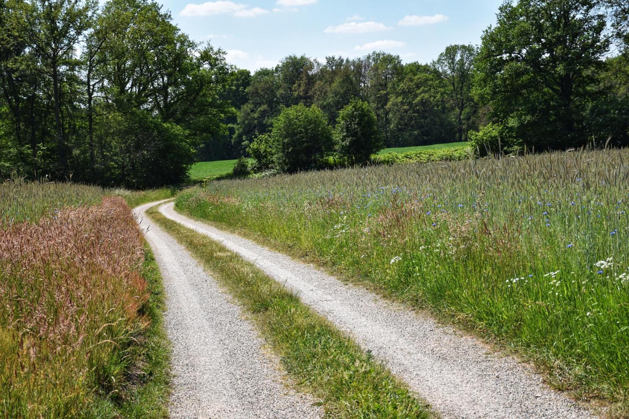 'T Buitenverblijf Erve Punte Losser Extérieur photo