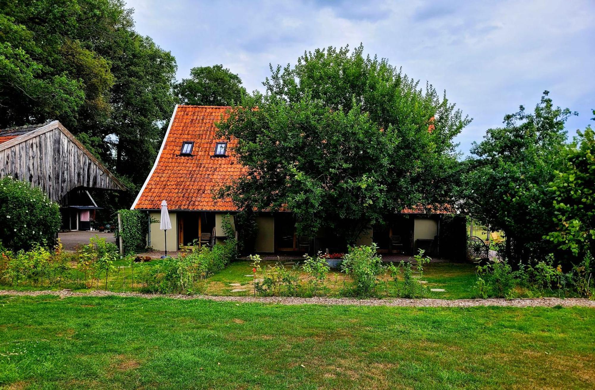 'T Buitenverblijf Erve Punte Losser Extérieur photo