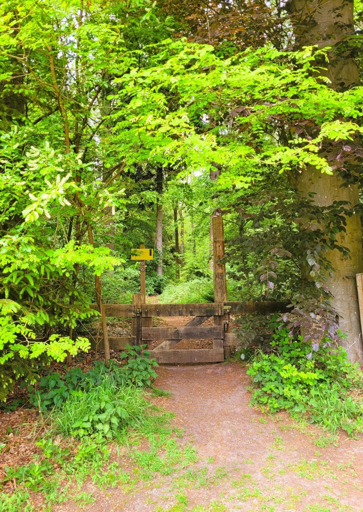 'T Buitenverblijf Erve Punte Losser Extérieur photo